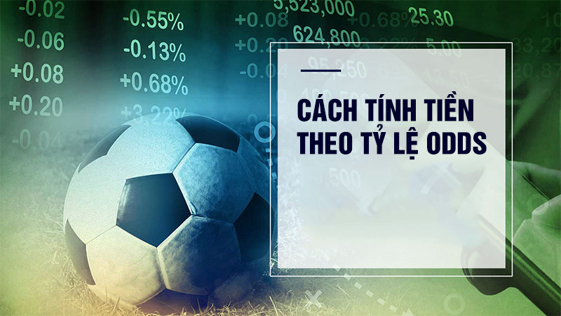 cach-tinh-tien-trong-ca-do-bong-datheo-ty-le-odds