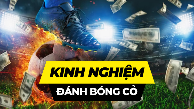 kinh-nghiem-danh-bong-co