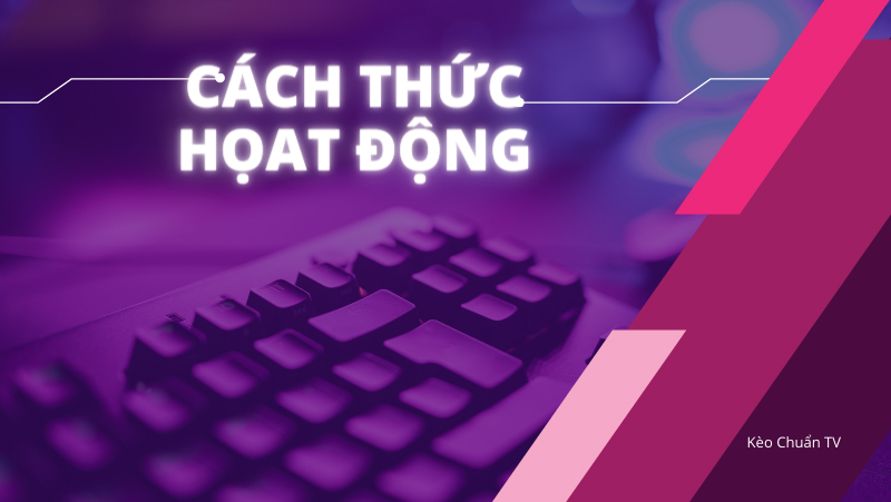 cach-thuc-hoat-dong-cua-may-tinh-du-doan-ty-so-bong-da