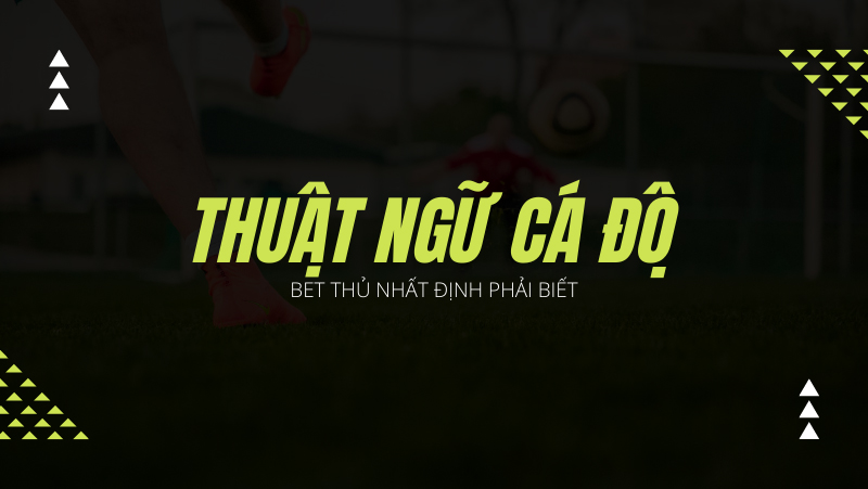 thuat-ngu-ca-do-bong-da