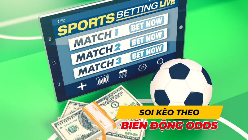 cach-soi-keo-chuan-theo-bien-dong-odds