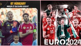Bất ngờ với đội tuyển Hungary trở thành ngựa ô ở Euro 2024